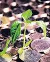 Stable Money raises $25 mn, eyes growth in smaller cities Stable Money raises $25 mn, eyes growth in smaller cities9