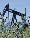 War fuels surge in crude derivative trading on MCX13