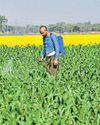 THE UREA TRAP: TIME FOR BOLD REFORMS? THE UREA TRAP: TIME FOR BOLD REFORMS?30