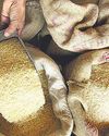 Govt to meet carriers amid basmati export disruptions7