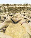 India to hike wheat export quota to tap global price rise18