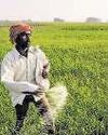 Digital tracking of urea, coming soon to a mobile app16