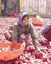 Eye on prices, India aims to reduce onion wastage third year in a row3
