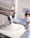 Sugar exports dip as govt prioritizes domestic supply2