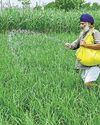 Govt to decide inflation steps by 15 June Govt to decide inflation steps by 15 June2