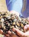 India, US sign framework on critical minerals India, US sign framework on critical minerals20