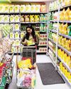THE GREAT INDIAN EDIBLE OIL SPILL THE GREAT INDIAN EDIBLE OIL SPILL34