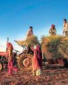 How every geopolitical event hits Indian farmers How every geopolitical event hits Indian farmers13