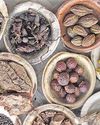 Centre tightens Siddha screening rules4