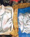Myanmar hilsa on your plate as Bangladesh loses favour29