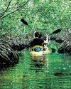 Must-visits in Andaman and Nicobar The Northlines