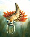 Bizarre three-eyed predator hunted the ocean half a billion years ago The Northlines