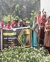 KVK Reasi organizes training prog The Northlines