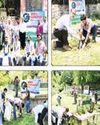 BDO Office Trigam celebrates World Environment Day The Northlines