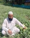 In Ang, Mohammad Aslam Khan cultivates success with thriving watermelon farm The Northlines