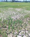 Drought-like situation in south Kashmir, farmers in distress The Northlines