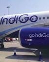 IndiGo ties up with Infiniti Software for revenue management platform The Northlines