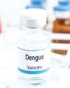 Phase-3 enrolment for dengue vaccine to finish by October: ICMR The Northlines