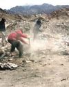 Cleanliness drive launched to transform Leh City7