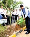 The Northlines