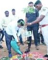 Jharsuguda Launches Massive Tree Plantation Drive at 76th Van Mahotsav10