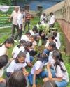 Van Mahotsav Celebrated at Kalibari by Students and Social Organisations17