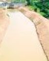 Orissa Today
