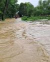 Orissa Today