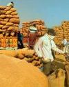 Odisha to set up Model Mandis to provide seamless platforms to farmers & traders0