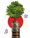 Investors India