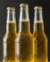 Beer gets pricier; guzzlers call it ‘leisure tax'4