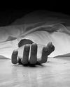 Speeding truck mows down woman3
