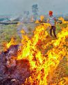 Stubble burning kills 1 in MP, guts 2 villages25
