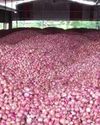 Early rains bring tears for onion farmers16