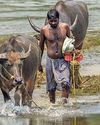 Flood woes ease in Assam as rivers flow below danger mark30