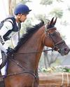 FEI cancels equestrian events in India58