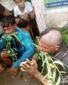 2 Dalit men beaten, forced to eat grass22