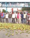 Protesting farmers dump mangoes on Bengaluru-Chennai Highway6