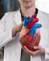 State to investigate surge in heart attacks5