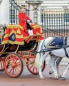 PRINCESS OF WALES RETURNS TO PUBLIC EVENTS AT TROOPING THE COLOUR