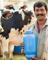 Dairy Sector in India: Policies & Initiatives To Boost Milk Production2