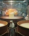 Cheese Industry: Diving Into The 'Soul' of Modern Bakeries11