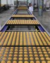 Chana Integrated Bakery Solutions: A Global Perspective in Bakery from the Heart of India0