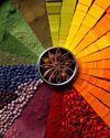 India's Natural Palette: Clean-Label Colors and Flavors Food Infotech