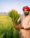 New GST rates: A Boon for Agriculture and Farmers' Prosperity New GST rates: A Boon for Agriculture and Farmers' Prosperity12