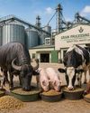 Animal Feed Sector: Analysing The Pet Food Industry Animal Feed Sector: Analysing The Pet Food Industry14