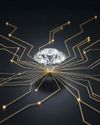 NATURAL DIAMONDS UNDERPIN DEVELOPMENT IN PRODUCING COUNTRIES: FERIEL ZEROUKI, WDC10