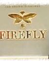 Firefly Diamonds Marks First Anniversary with Launch of New Collection, Website and National Expansion Plans5