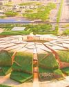 Early works bids sought for King Salman Stadium Early works bids sought for King Salman Stadium36