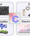 Harnessing carbon: A catalyst for CO2 transformation